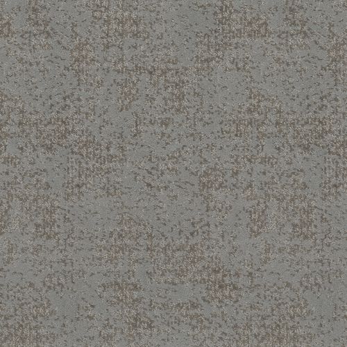 Shaw Floors Artistic Presence Grounded Gray 00536_CC73B