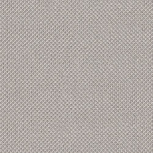Shaw Floors Inspired Design Cold Winter 00126_CC81B