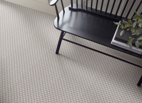 Shaw Floors Inspired Design Cold Winter 00126_CC81B