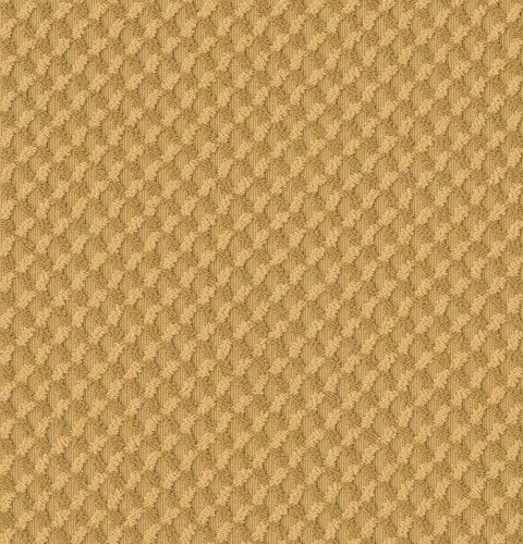 Shaw Floors Inspired Design Turmeric 00250_CC81B