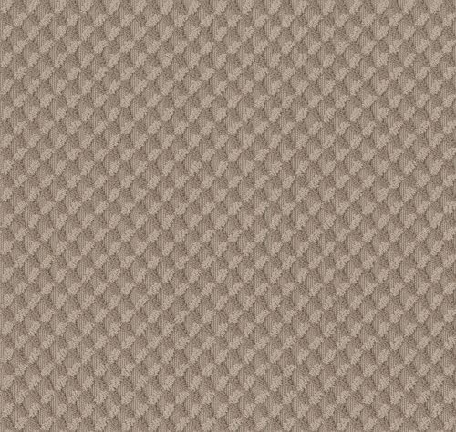 Shaw Floors Inspired Design Tumbleweed 00749_CC81B