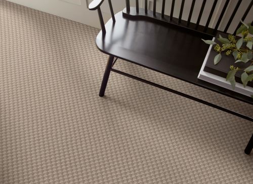 Shaw Floors Inspired Design Tumbleweed 00749_CC81B