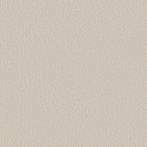 Shaw Floors Simply The Best Clever Design Scotch Mist 00109_5E809