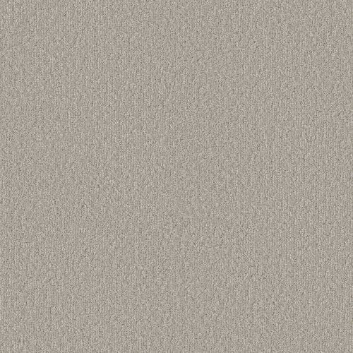 Shaw Floors Simply The Best Clever Blend Sculpture 00115_5E810