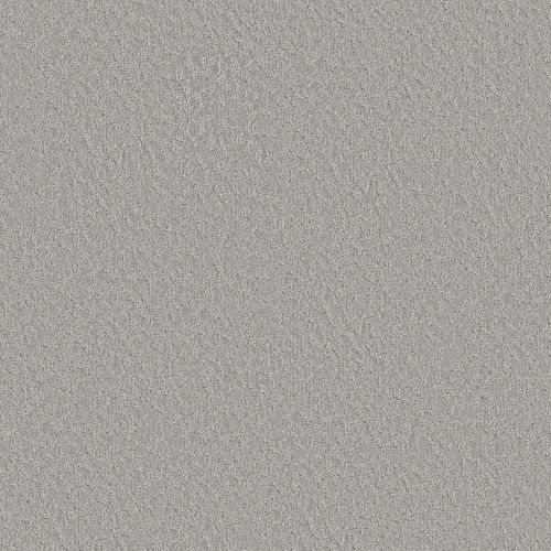 Shaw Floors Simply The Best Clever Blend Gravity 00556_5E810