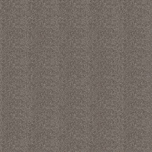 Shaw Floors SIMPLY THE BEST Elevated II Coffee 00701_5E862