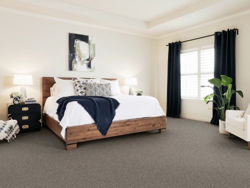 Shaw Floors SIMPLY THE BEST Elevated II Coffee 00701_5E862