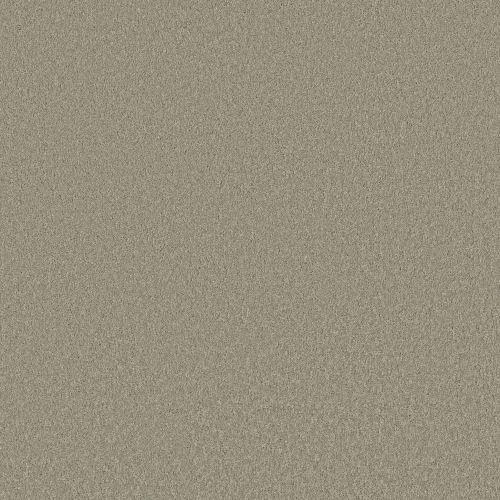 Shaw Floors PET PERFECT PLUS Velvet Touch I Organic Grown 00320_5E871