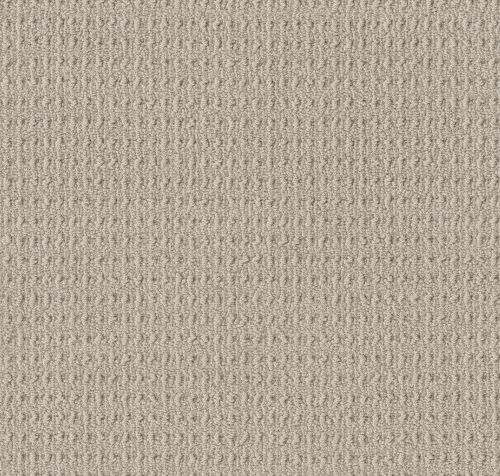 Anderson Tuftex Truly Delightful Hint Of Gray 00571_ZZ094