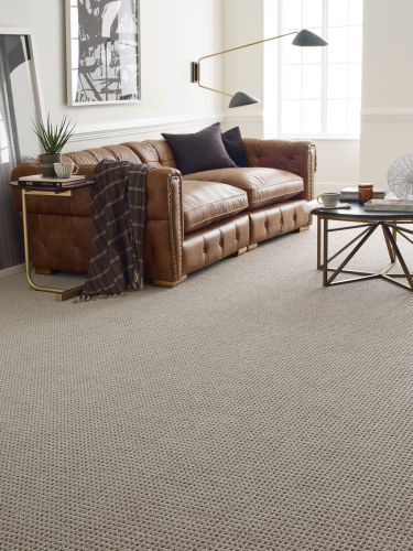 Anderson Tuftex Truly Delightful Hint Of Gray 00571_ZZ094