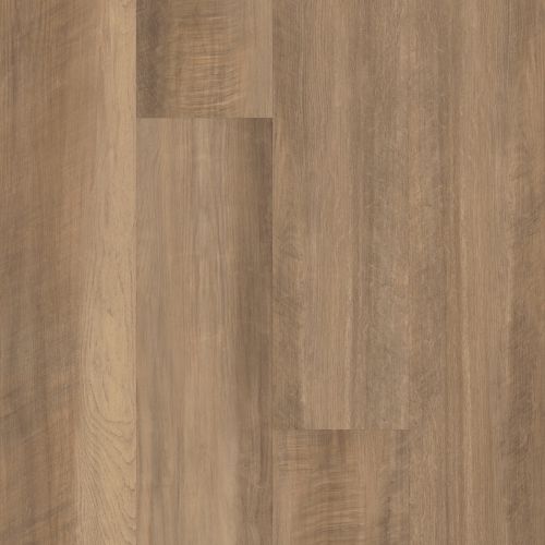 Shaw Floors Resilient Residential Paramount 512c Plus Tawny Oak 00203_509SA