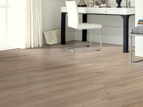 Shaw Floors Resilient Residential Endura Plus Driftwood 01056_0736V