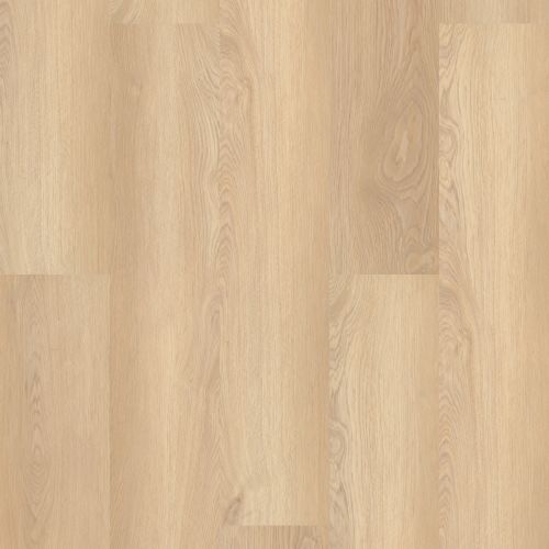 Shaw Floors Resilient Residential Endura Plus White Sand 02013_0736V