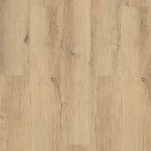 Shaw Floors Resilient Residential Endura Plus Marina 02014_0736V