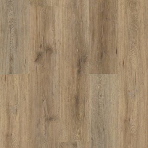 Shaw Floors Resilient Residential Endura Plus Wild Dunes 07089_0736V