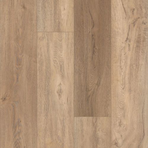 Shaw Floors Resilient Residential Pantheon HD Plus Foresta 00282_2001V