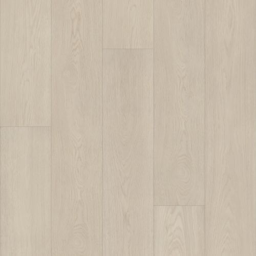 Shaw Floors Resilient Residential Ascent Nb Tundra 01135_2832V