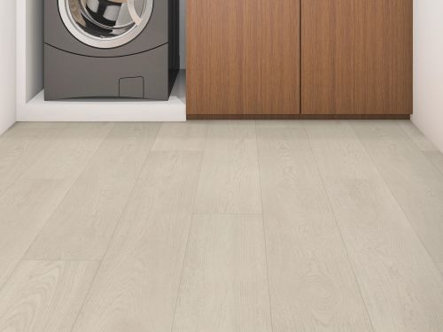 Shaw Floors Resilient Residential Ascent Nb Tundra 01135_2832V