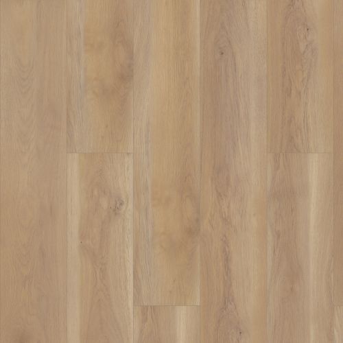 Shaw Floors Resilient Residential Paragon HD Plus Nb Edgemont 02050_3038V