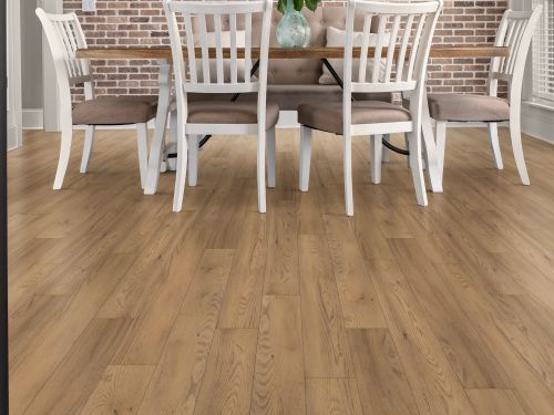 Shaw Floors Resilient Residential Paragon HD Plus Nb Franklin 06021_3038V