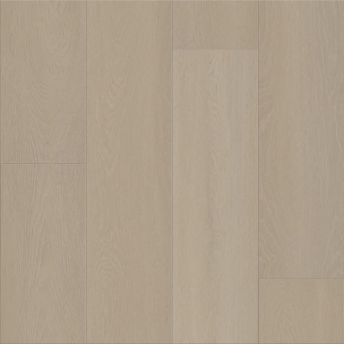 Shaw Floors Resilient Residential Dwell Genuine Greige 01187_3080V