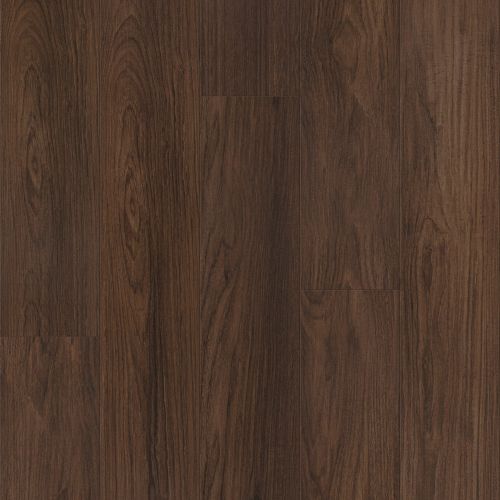 Shaw Floors Resilient Residential Distinction Plus Burnt Umber 07321_2045V