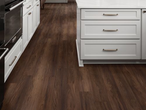 Shaw Floors Resilient Residential Distinction Plus Burnt Umber 07321_2045V