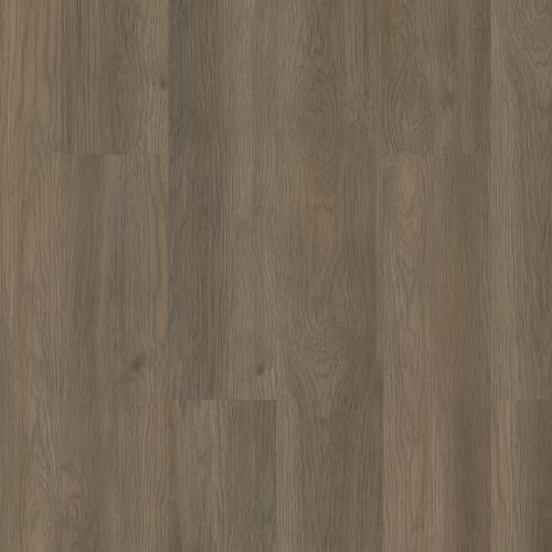 Shaw Floors Resilient Residential Boundless Raconteur 07195_3339V
