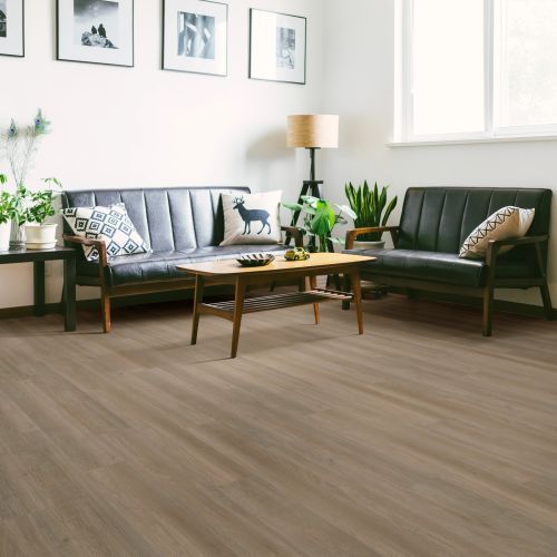 Shaw Floors Resilient Residential Boundless Raconteur 07195_3339V