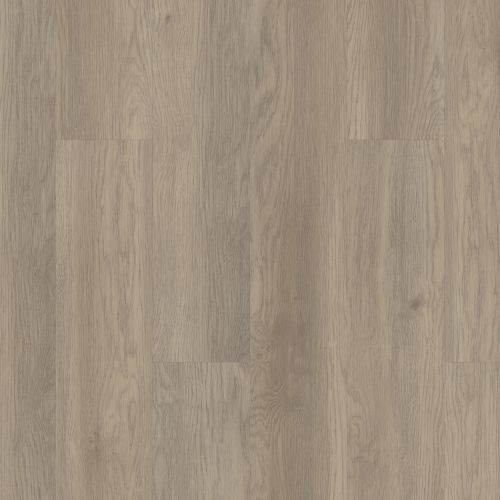 Shaw Floors Resilient Residential Infinite 12 Salt River 02028_3342V