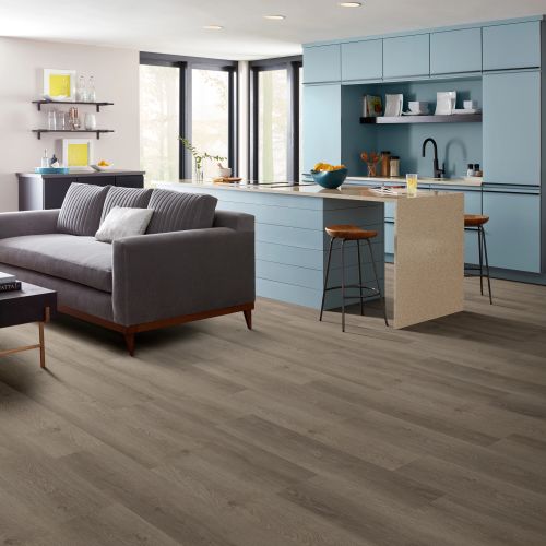 Shaw Floors Resilient Residential Infinite 12 Drift 05100_3342V