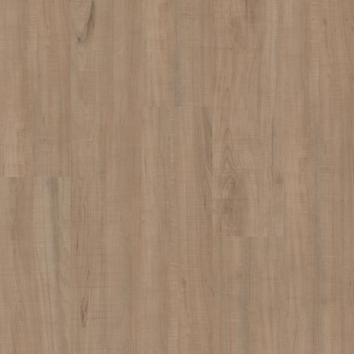 Shaw Floors Resilient Residential Anvil Plus 20 Mil Chatter Oak 00295_2357V