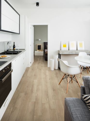 Shaw Floors Resilient Residential Paladin Plus Marina 02014_0278V