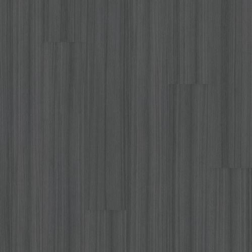 Philadelphia Commercial Resilient Commercial Color Scope 5 Onyx 00580_5041V