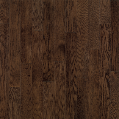 Bruce Westchester Mocha 2 1/4 in Mocha CB477
