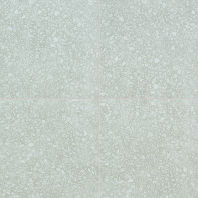 Armstrong Alterna Palazzo Terrazzo Chiaro D4197161