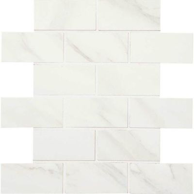 American Olean Mirasol Bianco Carrara 2 x 4 MosaicML70 ML7024SWTCH2