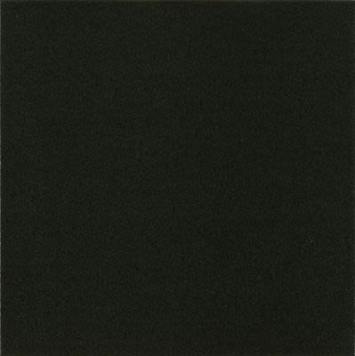 Armstrong Alterna Solid Colors Betcha Black D4101161