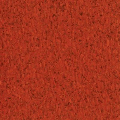 Armstrong Accolade Plus Flamed 5A099271