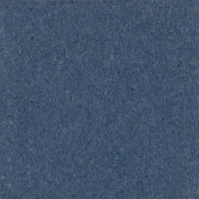 Armstrong Premium Excelon Crown Texture Victoria Blue 5C230031