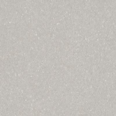 Armstrong Premium Excelon Crown Texture Soft Warm Gray 5C861031