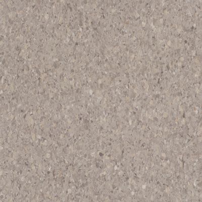 Armstrong Premium Excelon Crown Texture Taupe 5C901031