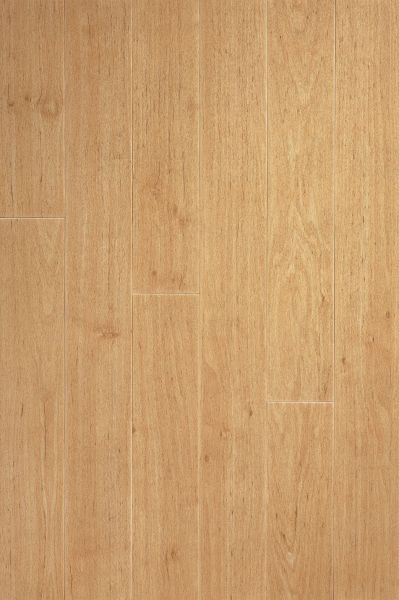 Armstrong Natural Living Hickory D2412451