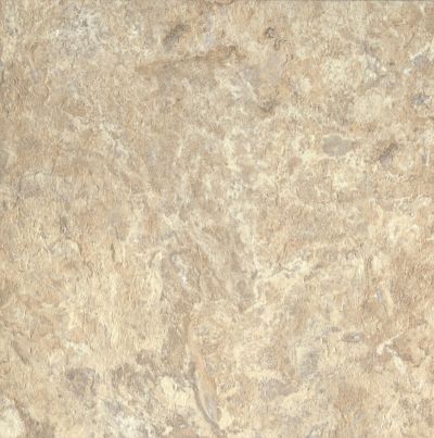 Armstrong Alterna North Terrace Beige/Taupe D4132161