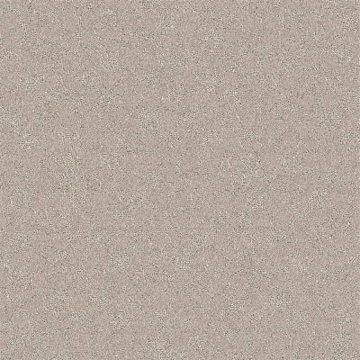 Nyluxe Petguard CLOUDSCAPE Clear Ochre Brown 1673-18659