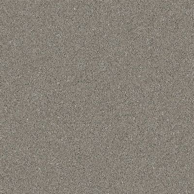 Nyluxe Petguard CLOUDSCAPE Sparrow Grey 1673-84176