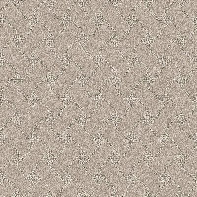 Nyluxe Petguard SNOWSCAPE Clear Ochre Brown 1675-18659
