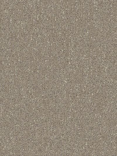 Nyluxe Petguard PUZZLE Partridge Brown 1679-76712