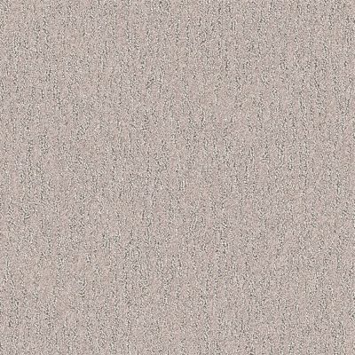 Nyluxe Petguard SPIDERWEB Clear Ochre Brown 1681-18659