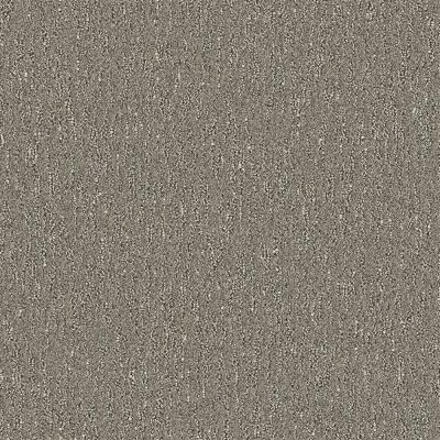 Nyluxe Petguard SPIDERWEB Sparrow Grey 1681-84176